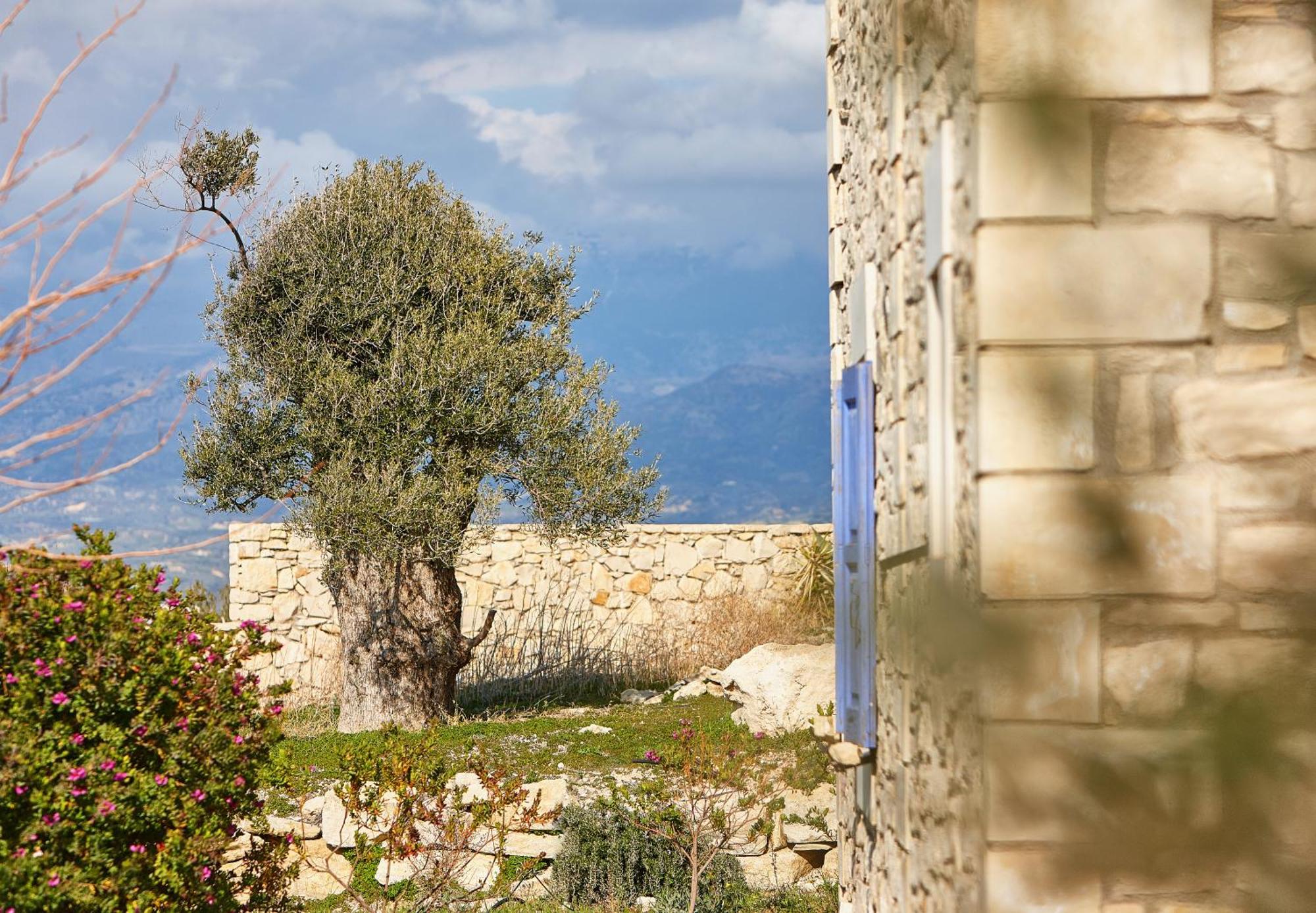 Orelia Cretan Deluxe Apartments Kamilári Kültér fotó